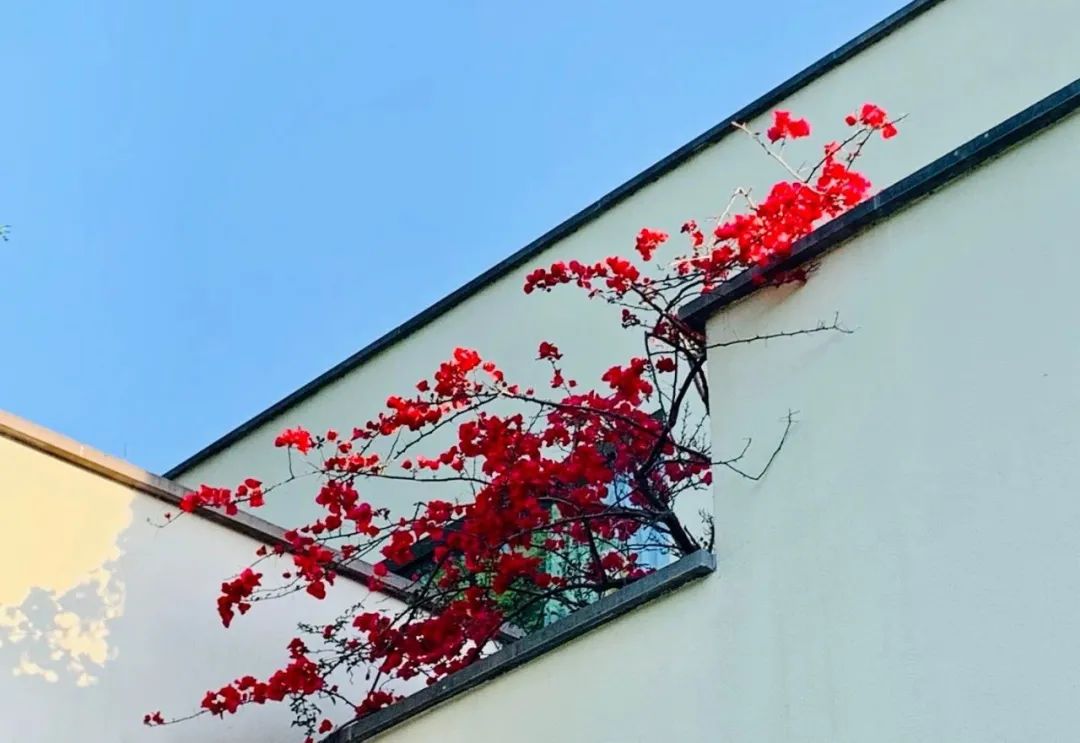 杨冕工作室